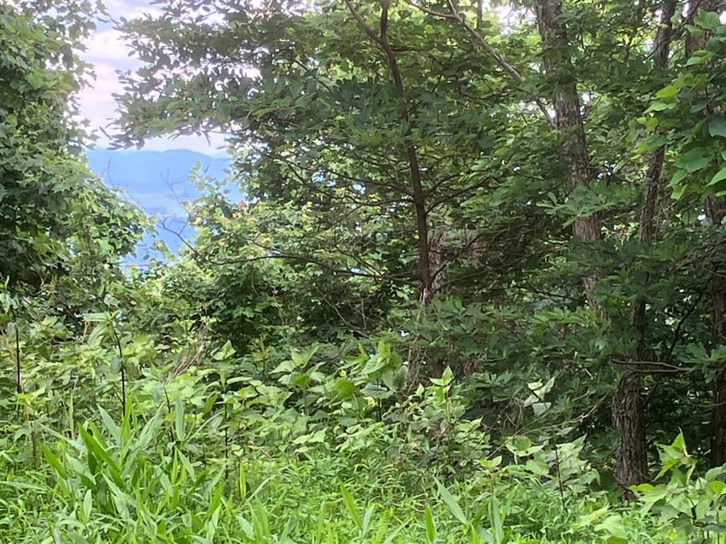 Lot 51 Buck Ridge Drive, Murphy NC 28906 - Photo