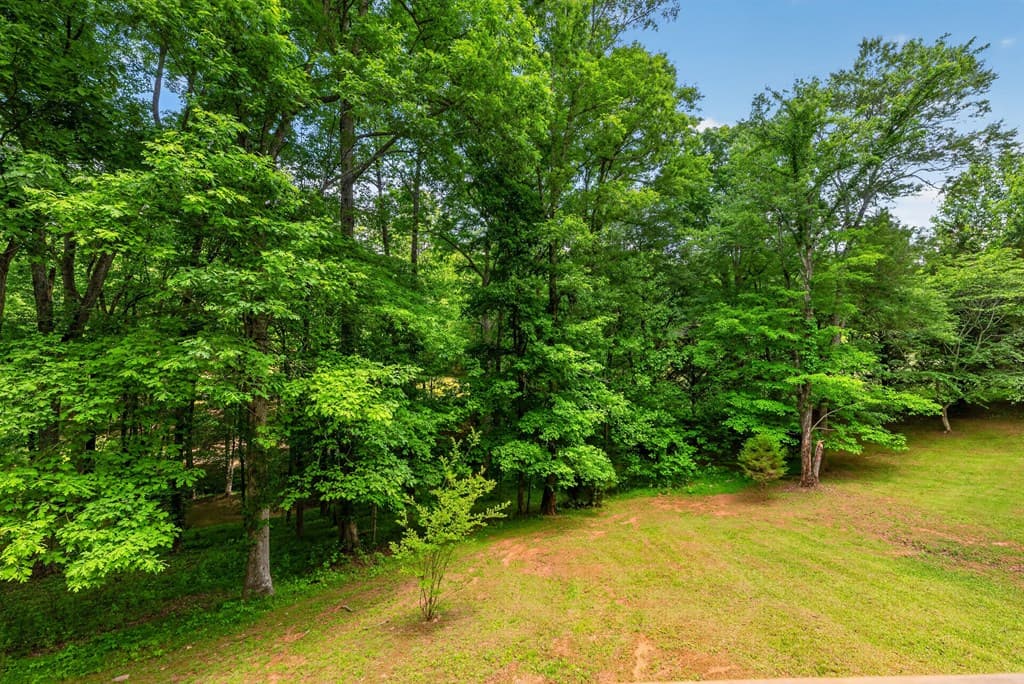 665 Shady Lane, Mineral Bluff GA 30559 - Photo