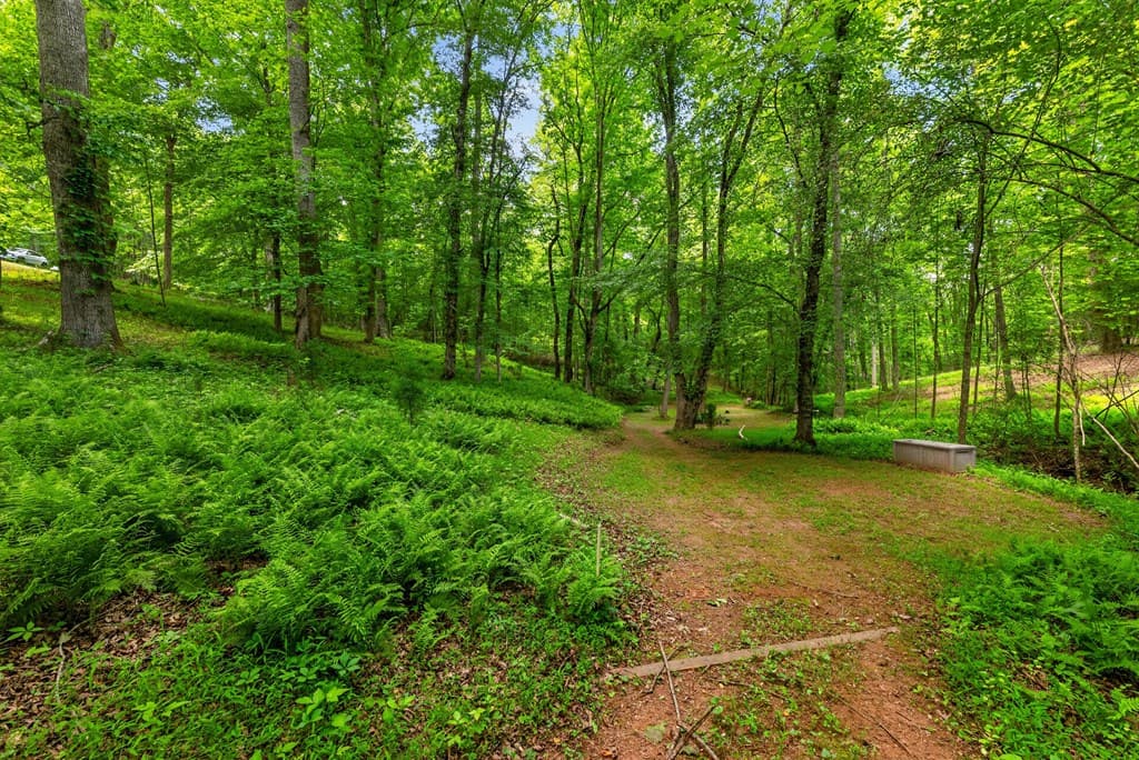 665 Shady Lane, Mineral Bluff GA 30559 - Photo