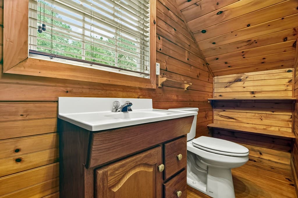 665 Shady Lane, Mineral Bluff GA 30559 - Photo