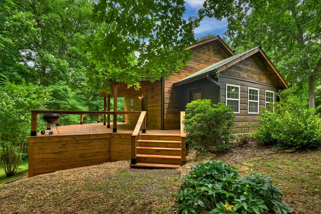 665 Shady Lane, Mineral Bluff GA 30559 - Primary photo