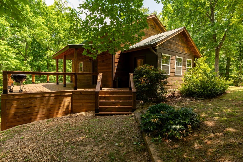 665 Shady Lane, Mineral Bluff GA 30559 - Photo