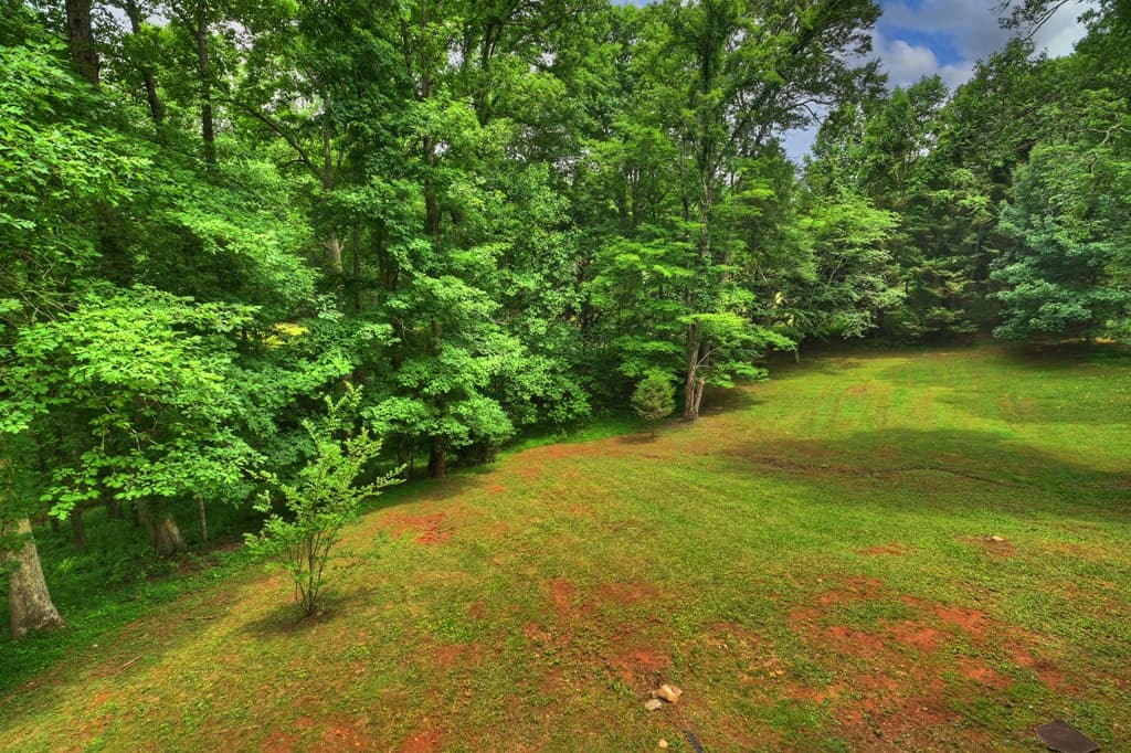 665 Shady Lane, Mineral Bluff GA 30559 - Photo
