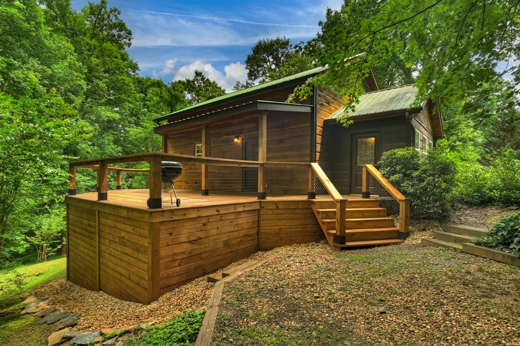 665 Shady Lane, Mineral Bluff GA 30559 - Photo