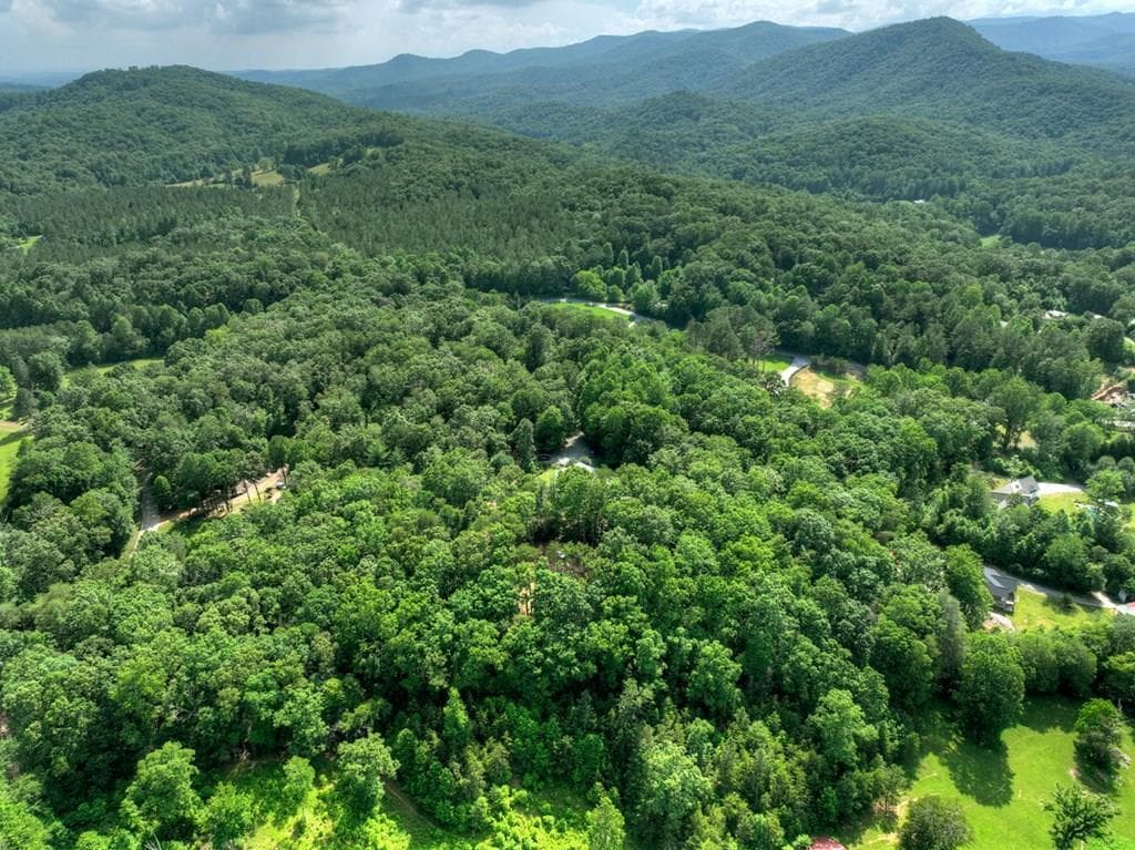 00 Sugar Creek Road, Blue Ridge GA 30513 - Photo