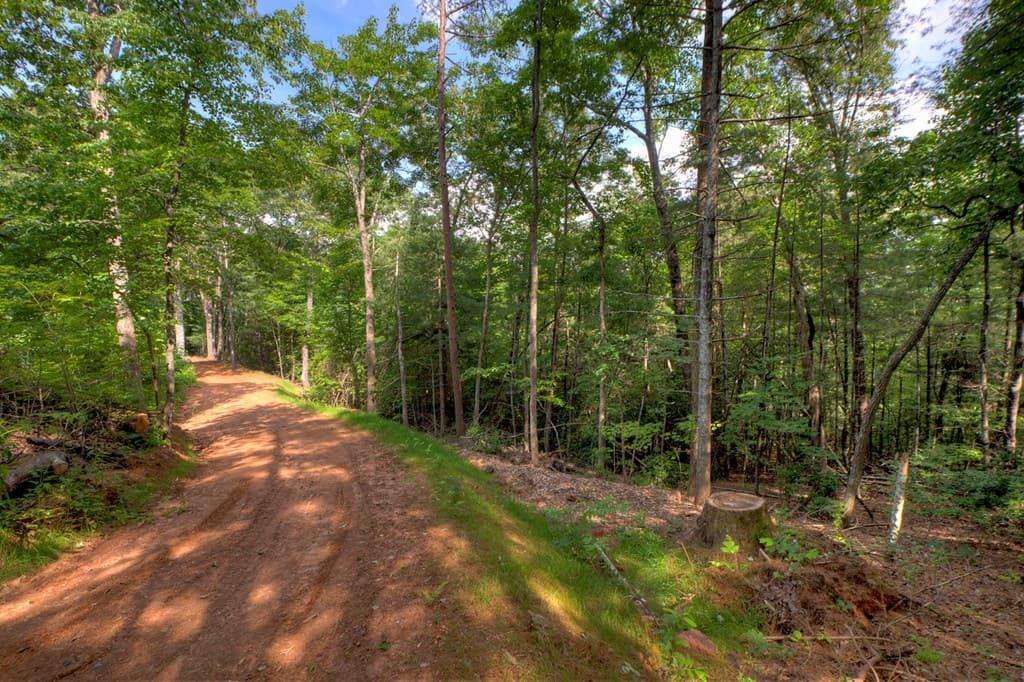 00 Sugar Creek Road, Blue Ridge GA 30513 - Photo