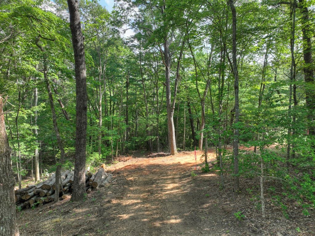 00 Sugar Creek Road, Blue Ridge GA 30513 - Photo