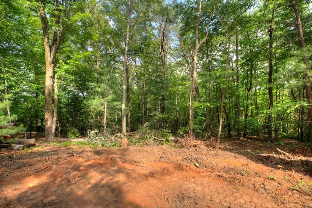 00 Sugar Creek Road, Blue Ridge GA 30513 - Photo