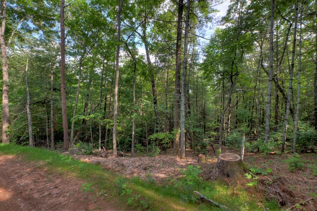 00 Sugar Creek Road, Blue Ridge GA 30513 - Primary photo