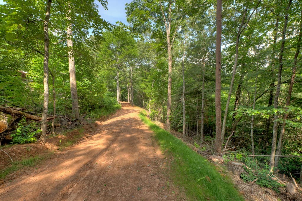 00 Sugar Creek Road, Blue Ridge GA 30513 - Photo