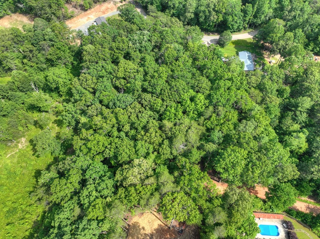 00 Sugar Creek Road, Blue Ridge GA 30513 - Photo