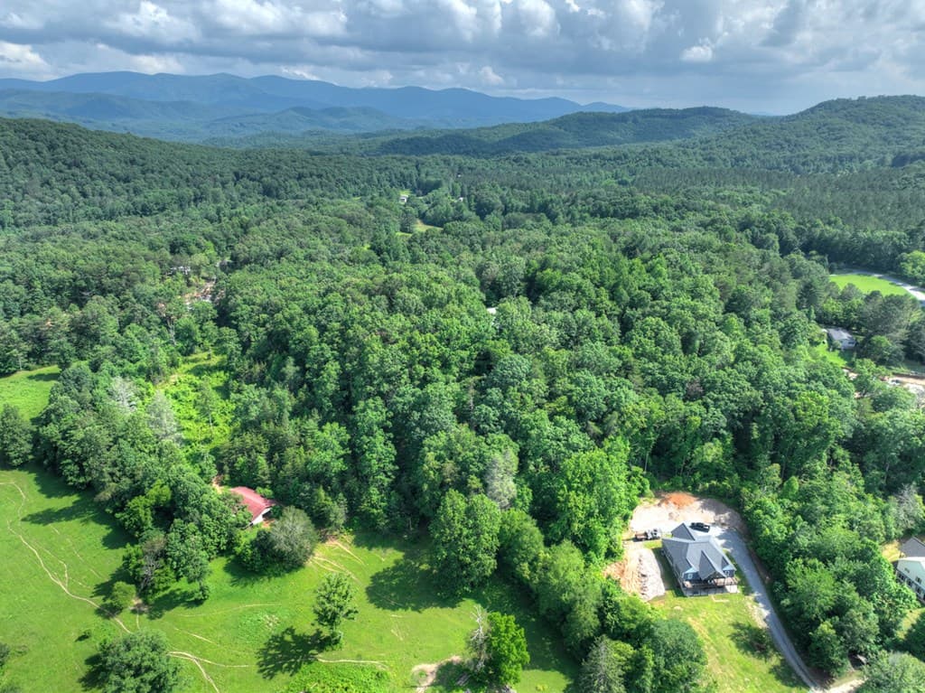 00 Sugar Creek Road, Blue Ridge GA 30513 - Photo