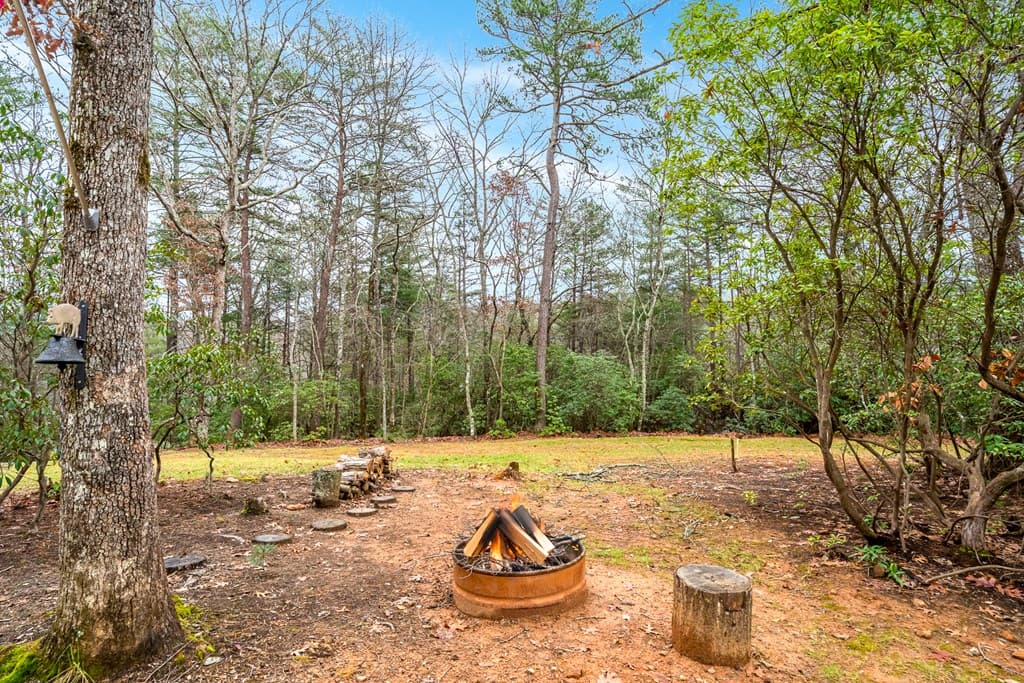 39 Sadie Way, Blairsville GA 30512 - Photo