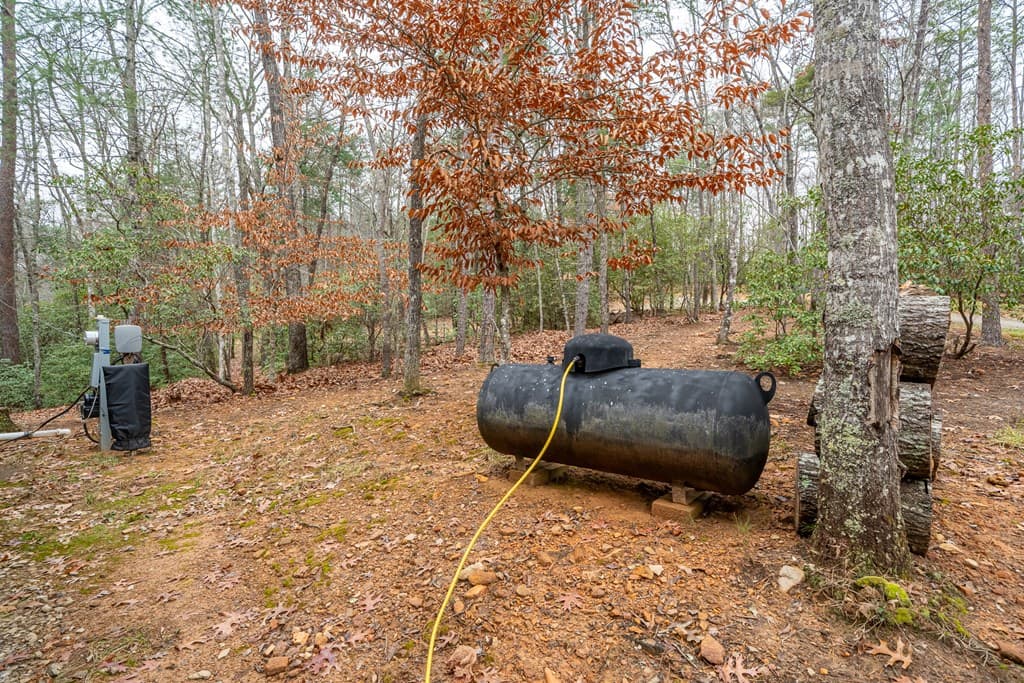 39 Sadie Way, Blairsville GA 30512 - Photo