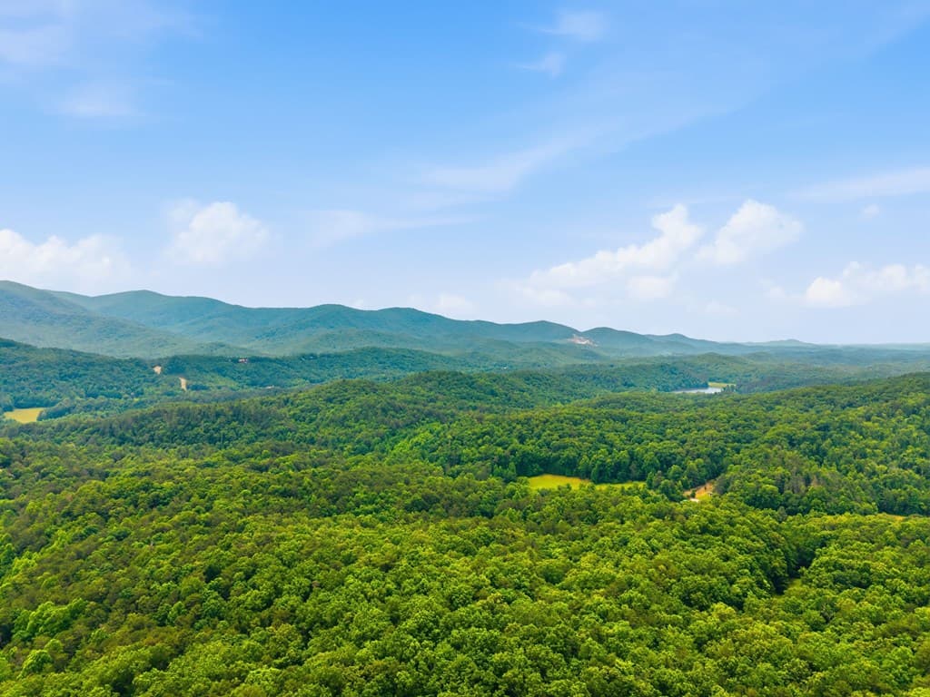 254 Leatherwood Mountain Road, Ellijay GA 30540 - Photo
