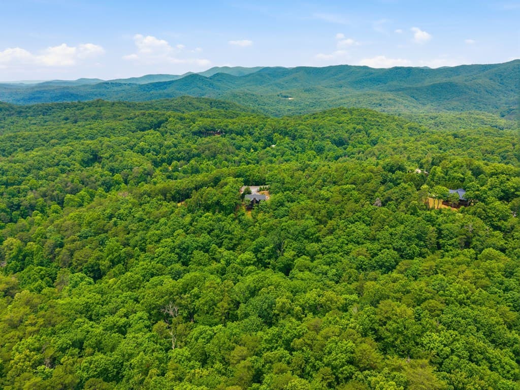 254 Leatherwood Mountain Road, Ellijay GA 30540 - Photo