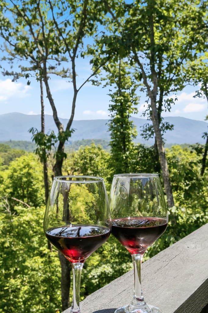 254 Leatherwood Mountain Road, Ellijay GA 30540 - Photo