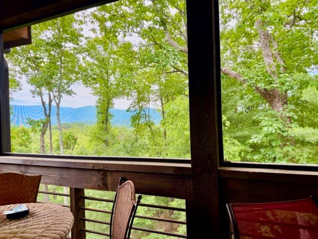 254 Leatherwood Mountain Road, Ellijay GA 30540 - Photo
