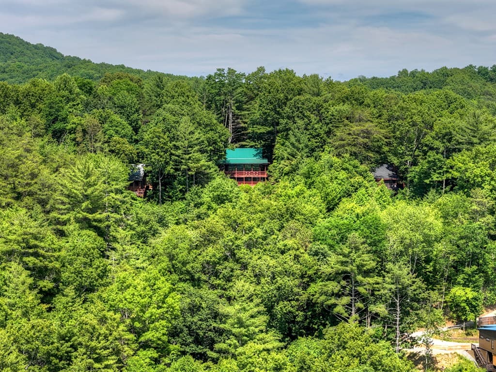 277 Hickory Nut Trail, Blue Ridge GA 30513 - Photo
