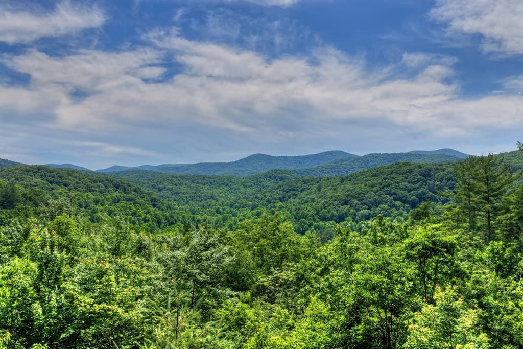 277 Hickory Nut Trail, Blue Ridge GA 30513 - Photo