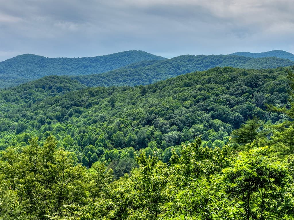 277 Hickory Nut Trail, Blue Ridge GA 30513 - Photo