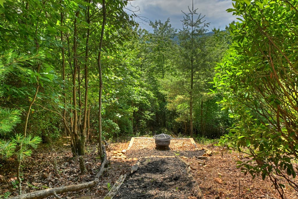277 Hickory Nut Trail, Blue Ridge GA 30513 - Photo