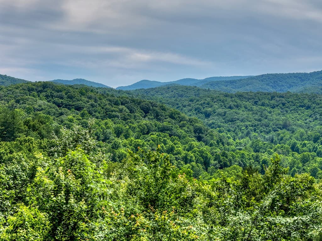 277 Hickory Nut Trail, Blue Ridge GA 30513 - Photo
