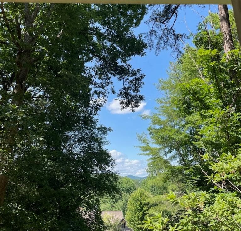 15 Dale Drive, Blairsville GA 30512 - Photo