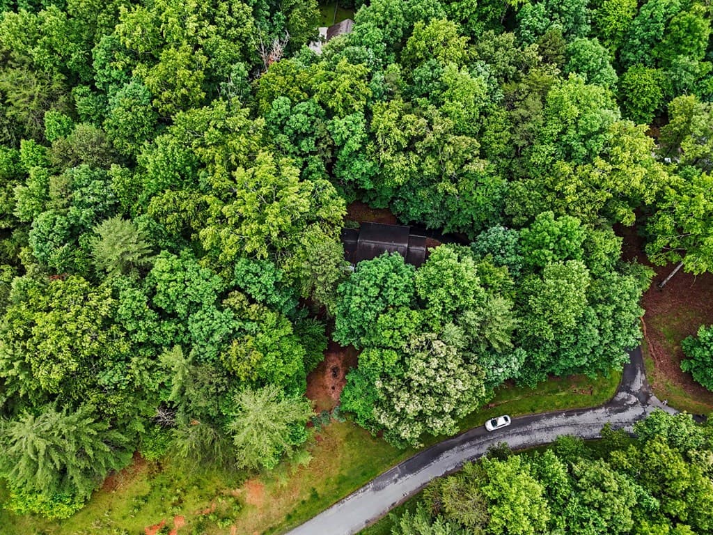 15 Dale Drive, Blairsville GA 30512 - Photo