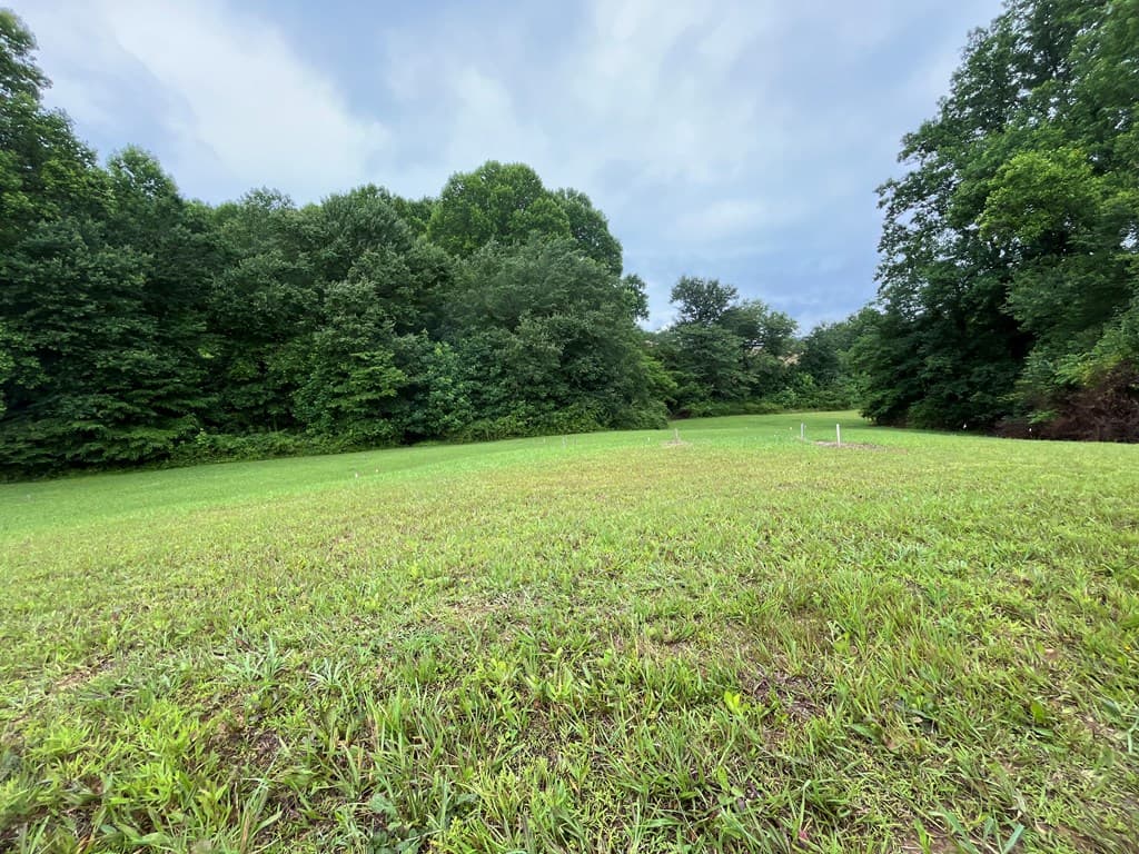LOT 117 Owen Glen Drive, Blairsville GA 30512 - Photo