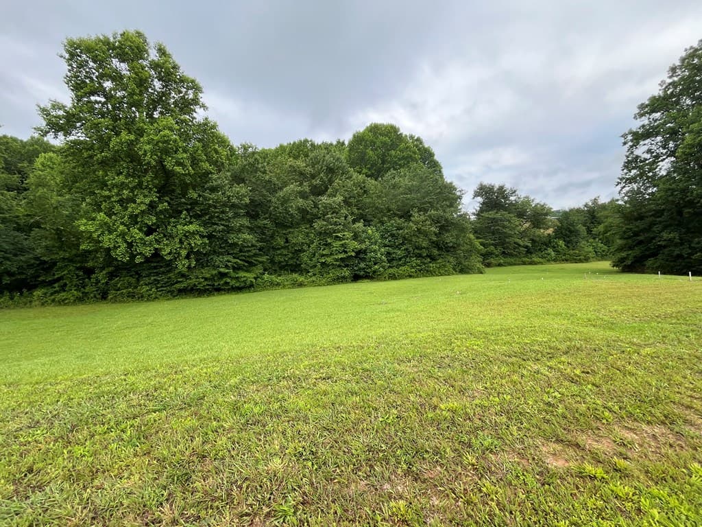 LOT 117 Owen Glen Drive, Blairsville GA 30512 - Photo