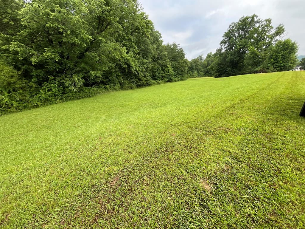 LOT 117 Owen Glen Drive, Blairsville GA 30512 - Photo