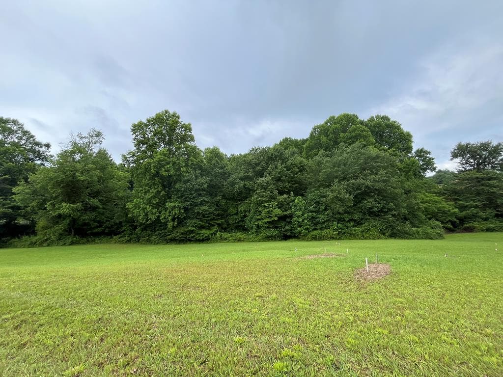 LOT 117 Owen Glen Drive, Blairsville GA 30512 - Primary photo