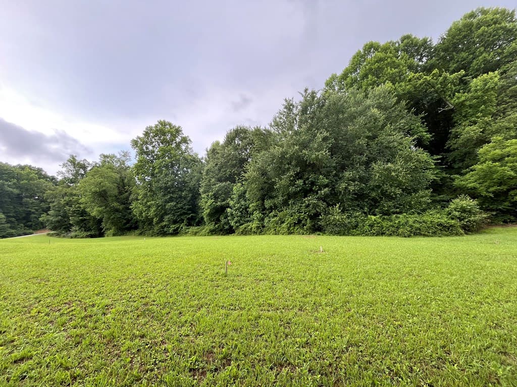 LOT 117 Owen Glen Drive, Blairsville GA 30512 - Photo