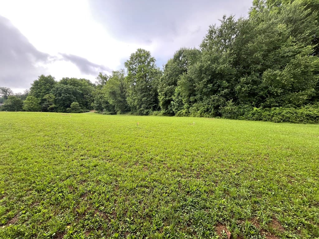 LOT 117 Owen Glen Drive, Blairsville GA 30512 - Photo