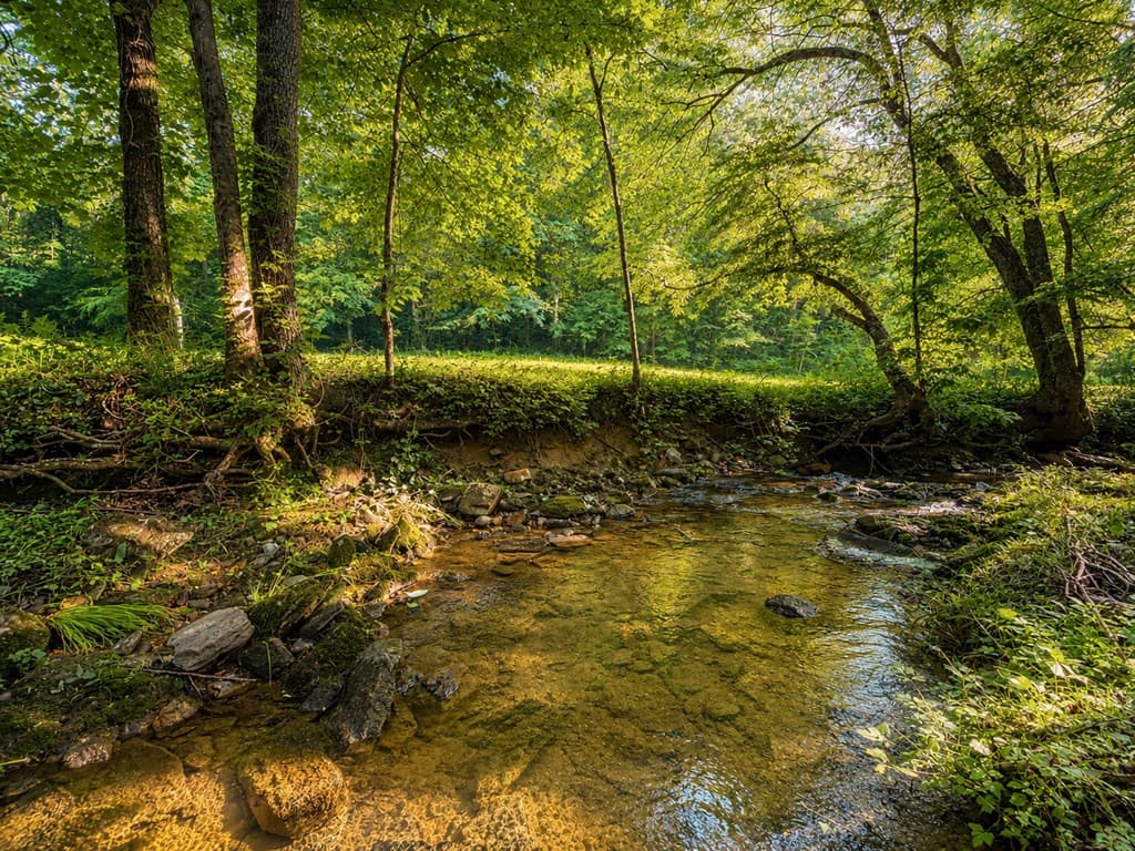 1564 Rackley Road, Ellijay GA 30536 - Photo