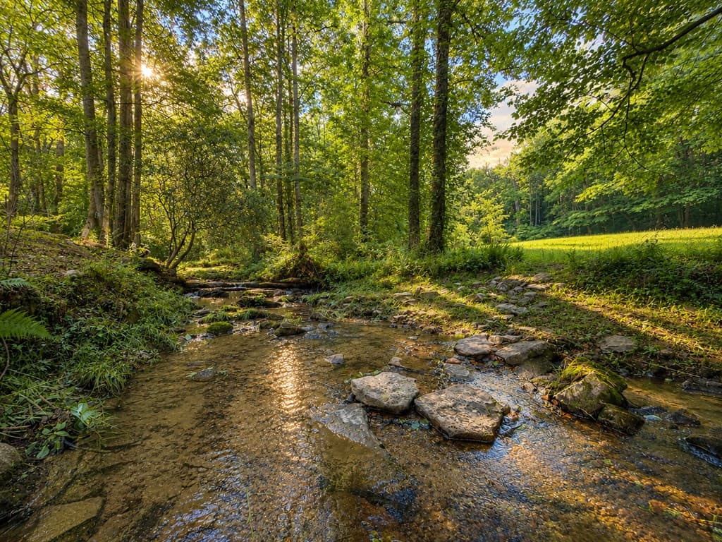 1564 Rackley Road, Ellijay GA 30536 - Photo