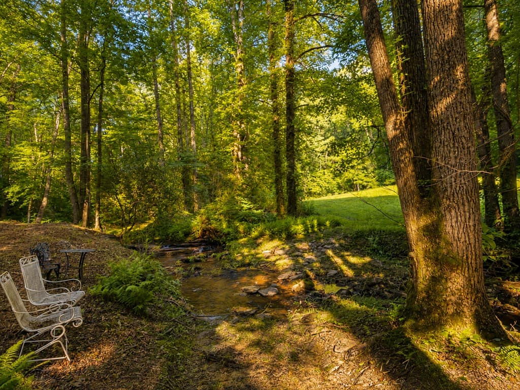 1564 Rackley Road, Ellijay GA 30536 - Photo
