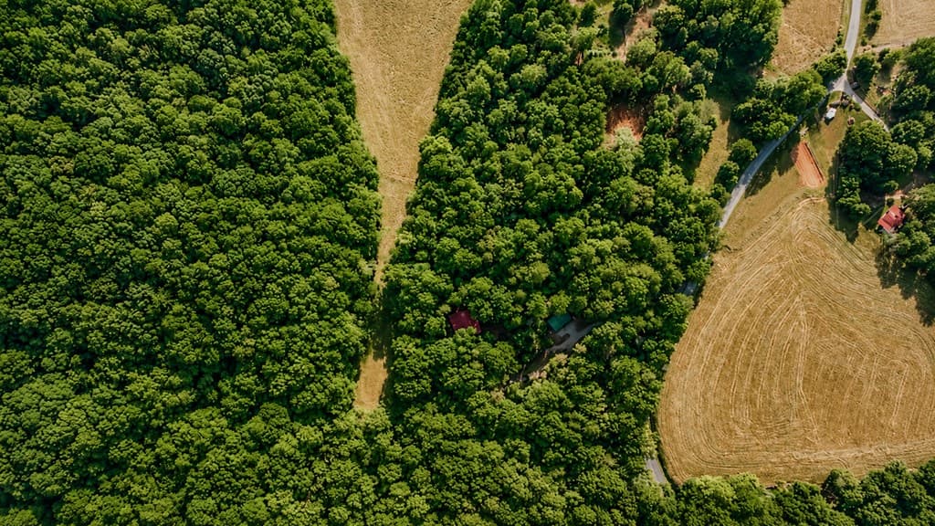 1564 Rackley Road, Ellijay GA 30536 - Photo