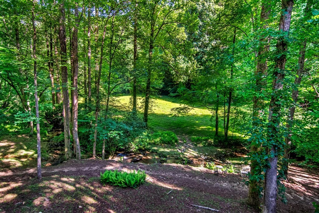 1564 Rackley Road, Ellijay GA 30536 - Photo
