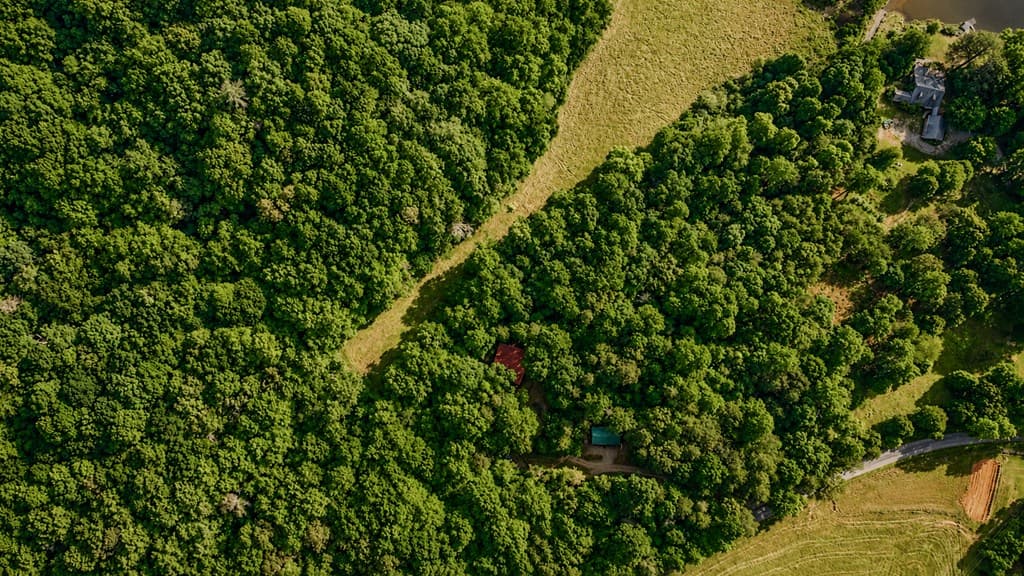 1564 Rackley Road, Ellijay GA 30536 - Photo