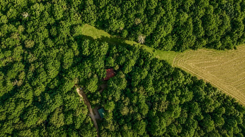 1564 Rackley Road, Ellijay GA 30536 - Photo