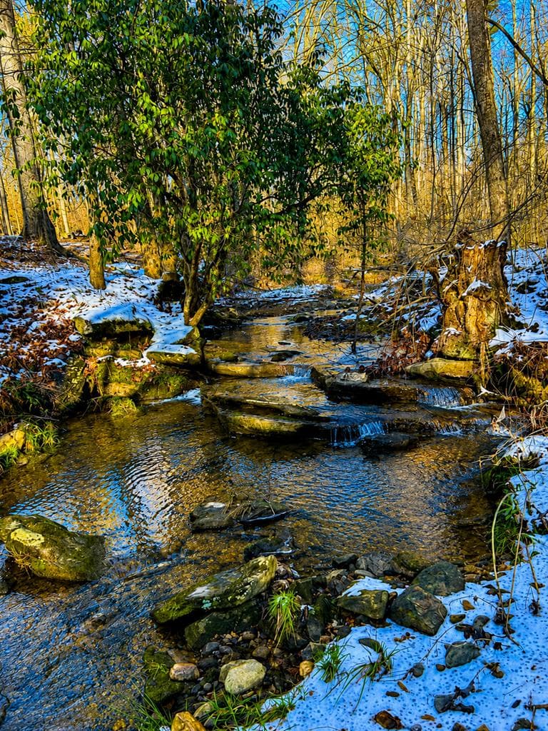 1564 Rackley Road, Ellijay GA 30536 - Photo