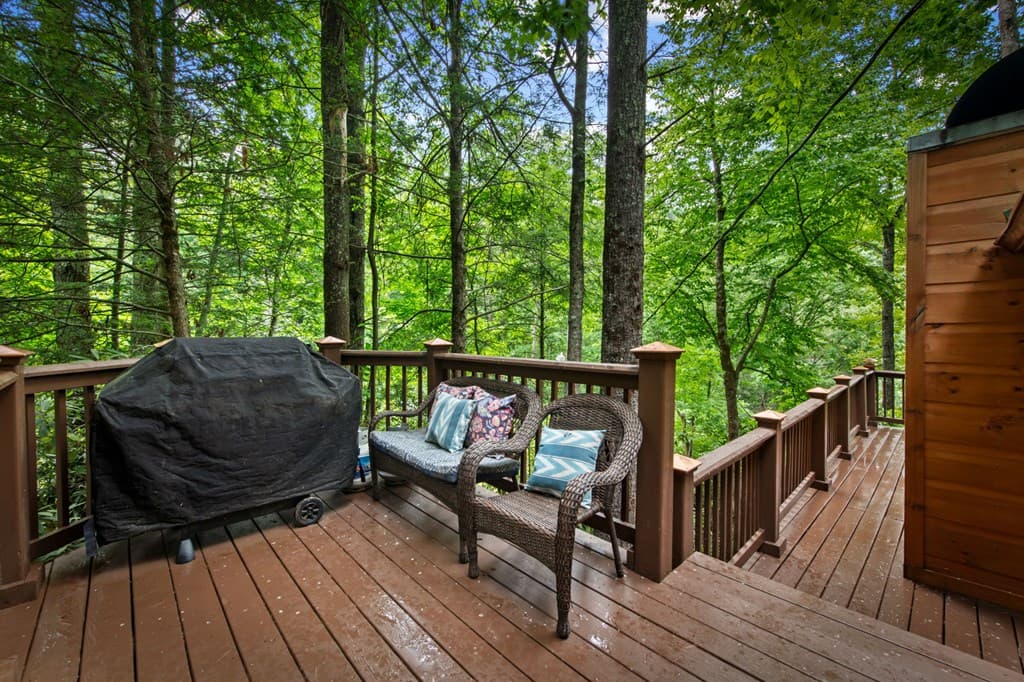 184 Fightingtown Drive, Blue Ridge GA 30513 - Photo