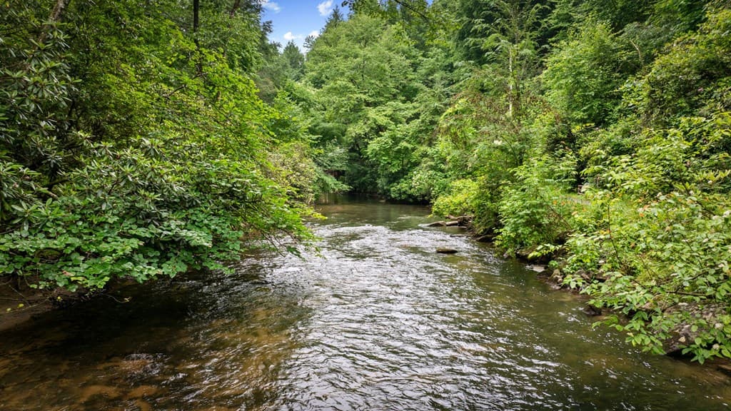 184 Fightingtown Drive, Blue Ridge GA 30513 - Photo