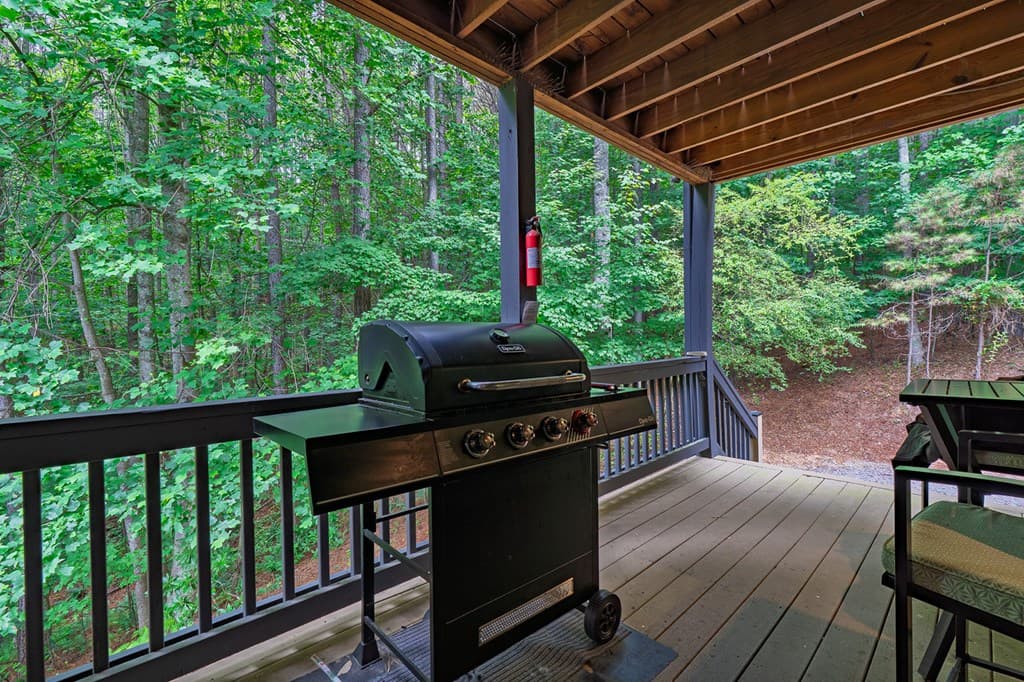 55 Ridge Top Drive, Ellijay GA 30536 - Photo