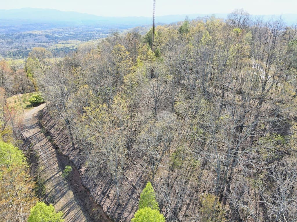 Lot 36 Moosilaukee Drive, Mineral Bluff GA 30559 - Photo