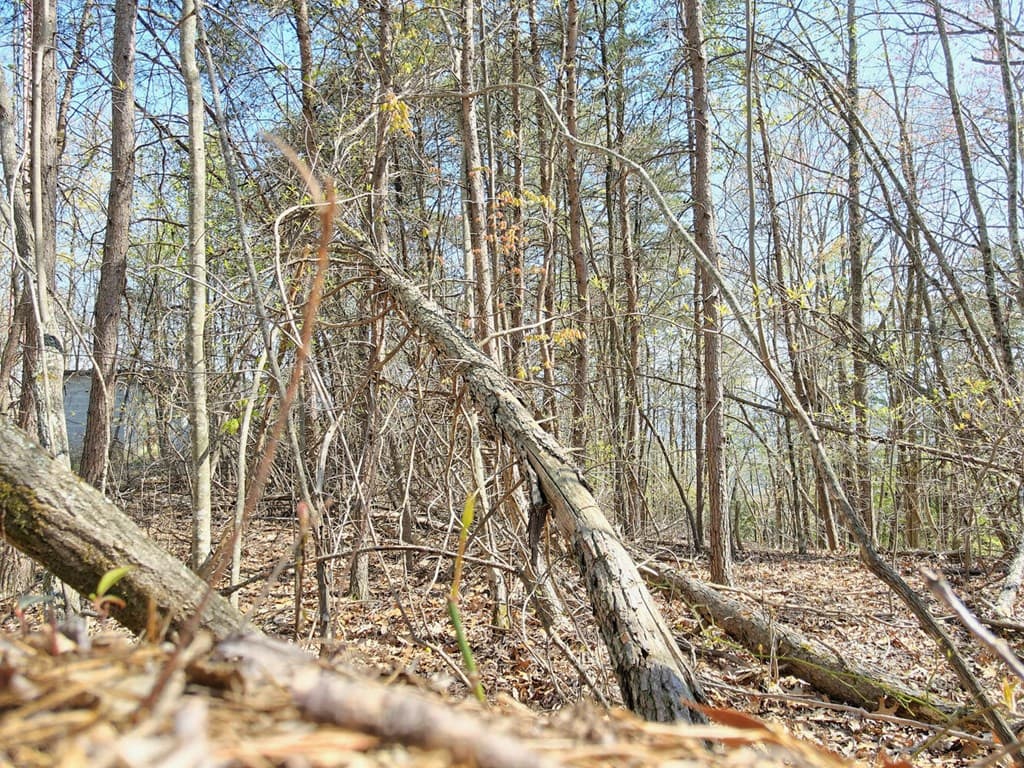 Lot 36 Moosilaukee Drive, Mineral Bluff GA 30559 - Photo