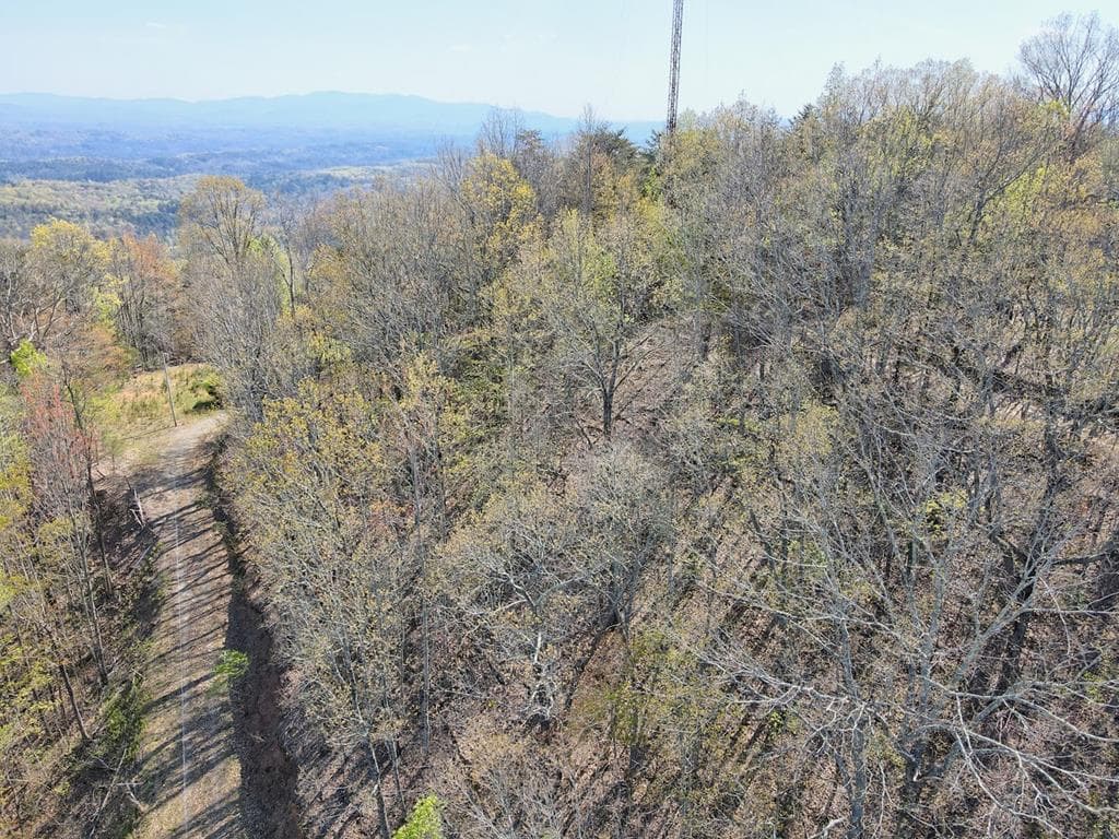 Lot 36 Moosilaukee Drive, Mineral Bluff GA 30559 - Primary photo