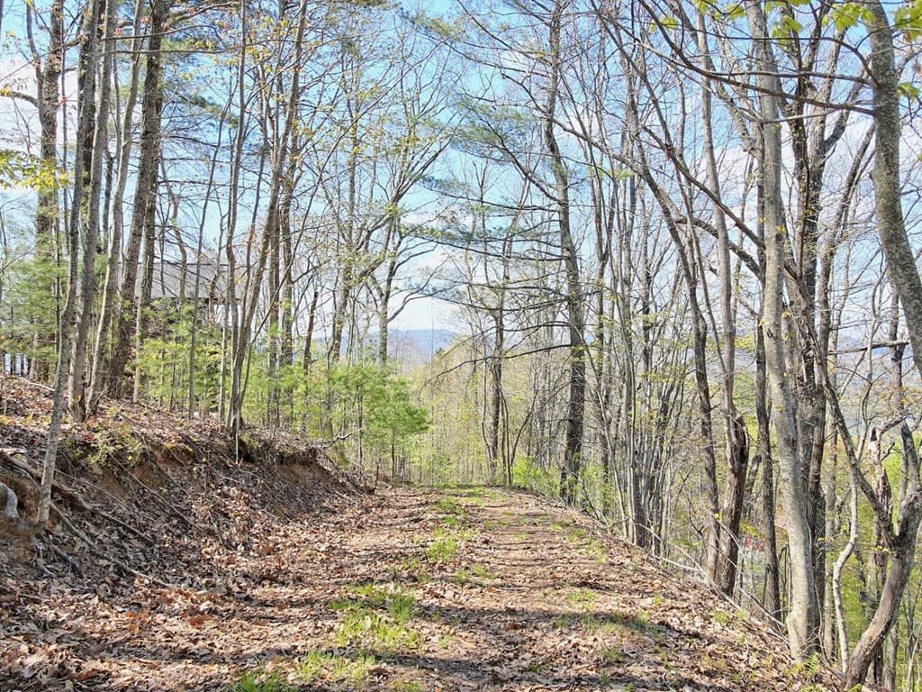 Lot 36 Moosilaukee Drive, Mineral Bluff GA 30559 - Photo